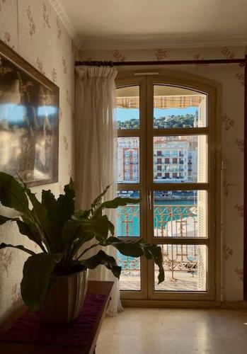 une plante assise sur une table devant une fenêtre dans l'établissement ''Georgio'' Grand appartement traversant avec vue canal et parking, à Sète