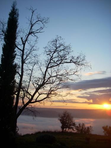 a silhouette of a tree with the sunset in the background at Agriturismo Le Roghete in Acquapendente