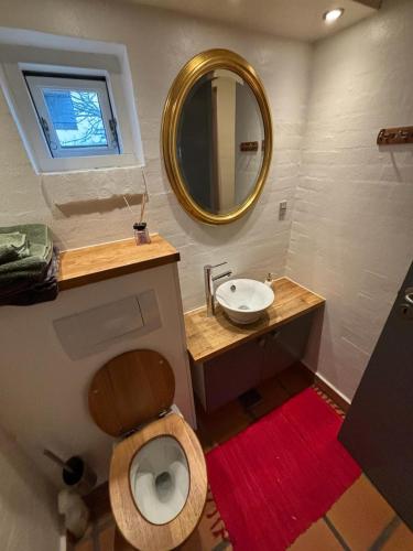 a bathroom with a toilet and a sink and a mirror at Vroldvej in Skanderborg
