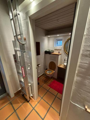 een badkamer met een toilet en een wastafel bij Vroldvej in Skanderborg