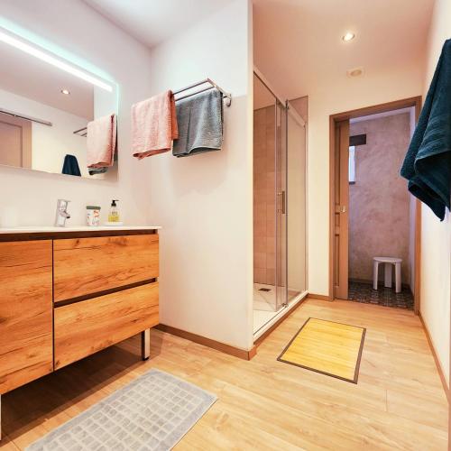 une salle de bain avec une douche, un lavabo et un miroir dans l'établissement Presbytère d'Arpentian, à Jégun