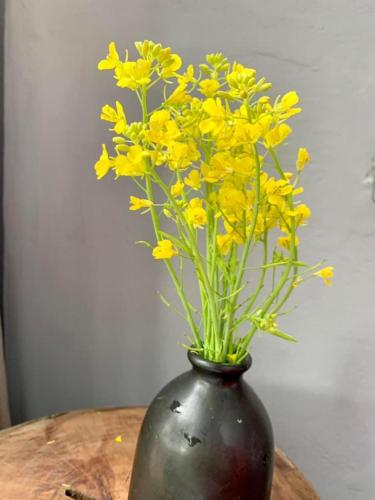 a vase with yellow flowers in it on a table at Pu Luong Paradise in Hương Bá Thước