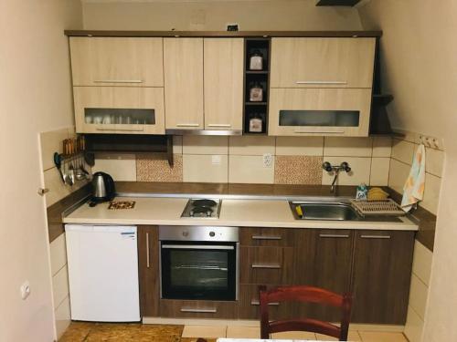 a kitchen with wooden cabinets and a white dishwasher at Woodland Cosy ‘Secret’ Villa in the beauty Osogovo Mountain in Lesnovo