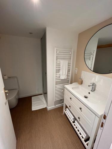 une salle de bain avec un lavabo blanc et un miroir dans l'établissement Résidence de l'houmeau - proche gare, à Angoulême