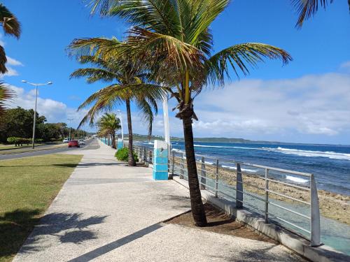 una acera con palmeras junto a la playa en Le Cocon de l'Oranger, en Le Moule