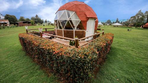 El NODO Glamping