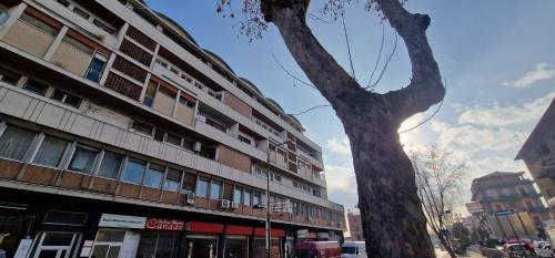 a tree in front of a building on a street at Attico Mexico in Pescara