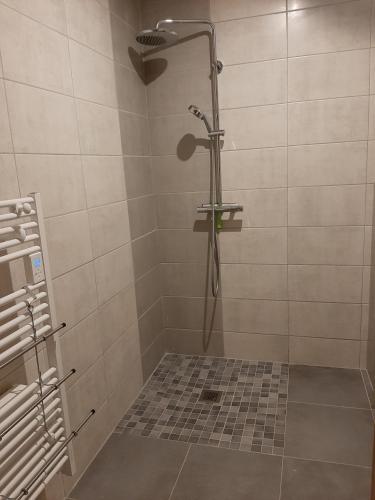 une douche avec pommeau de douche dans une salle de bain dans l'établissement Appartement au coeur des vignes, à Scherwiller