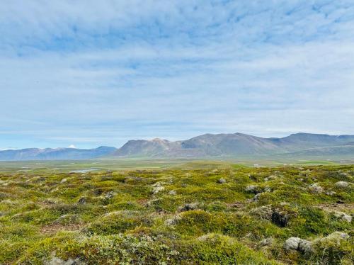 een grasveld met bergen op de achtergrond bij Syðri-Þverá in Hvammstangi