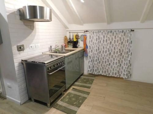 uma cozinha com um lavatório e um fogão em Maison Mirt em Bolonha