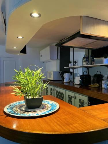 une table en bois avec une plante en pot au-dessus dans l'établissement Grand studio bord de mer, à Dieppe