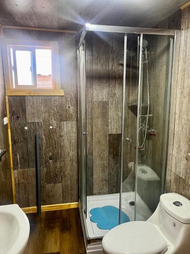 La salle de bains est pourvue d'une douche, de toilettes et d'un lavabo. dans l'établissement Espectacular Cabaña en Castro, à Castro