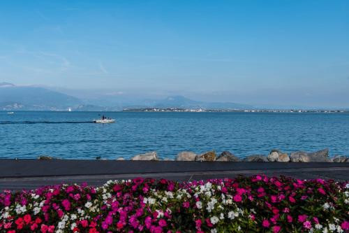 Flowers Apartments – Photos 3
