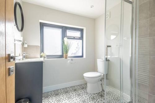 een badkamer met een toilet, een wastafel en een douche bij The Annexe Close to Dover Port in River