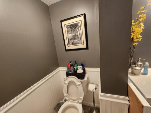 a bathroom with a toilet with a picture on the wall at Beautiful Apt, Woffice Area 2br, Long Term in Elkins Park