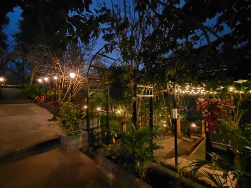 a garden lit up at night with lights at Pear Tree Entire 2BHK Villa Kotagiri in Kotagiri