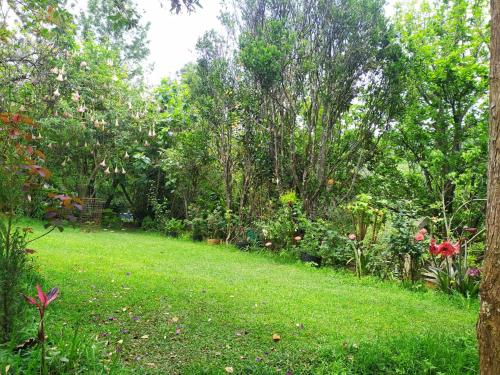 a garden with green grass and trees and flowers at Pear Tree Entire 2BHK Villa Kotagiri in Kotagiri
