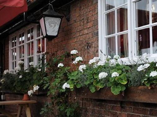 Imagen de la galería de The Bull on the Green, en Newick