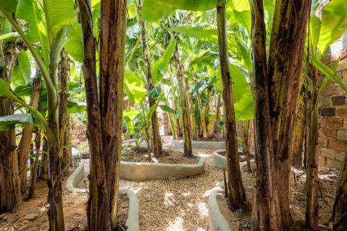 a row of trees in a garden with a brick wall at Hotel Casa do Bispo in Manaus