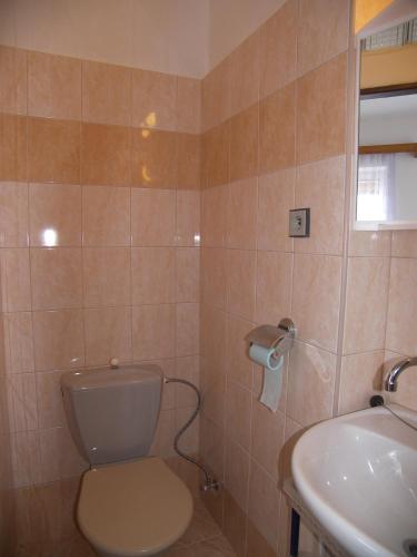 a bathroom with a toilet and a sink at Penzion U Antonickova Pramene in Mariánské Lázně