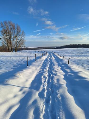 Afbeelding uit fotogalerij van Fewo-Hürtgenliebe in Hürtgenwald