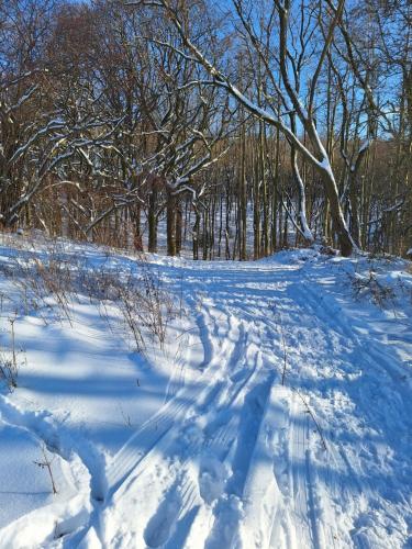Afbeelding uit fotogalerij van Fewo-Hürtgenliebe in Hürtgenwald