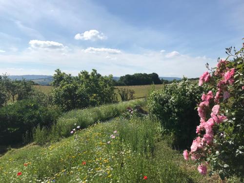 a field with pink flowers in a field at Cosy Stable at Oak Farm in Usk