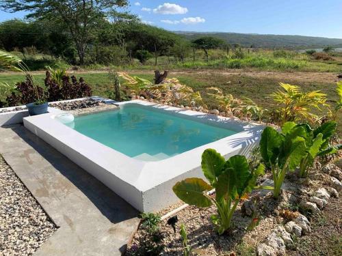 a swimming pool in a garden with plants at Cashaw Cabin - Private A-frame Treasure Beach in Treasure Beach