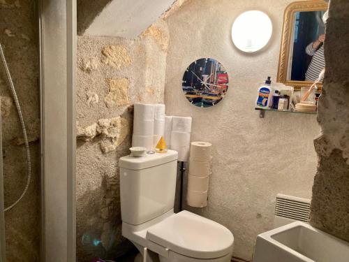 a bathroom with a white toilet and a sink at La Maison Bleue de Husseau Ancienne ferme semi-troglodytique 18e siècle in Montlouis-sur-Loire
