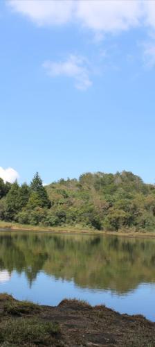 a body of water with trees in the background at Chalet Celestial Wifi, Malla catamarán, Parking Privado in Santa Elena