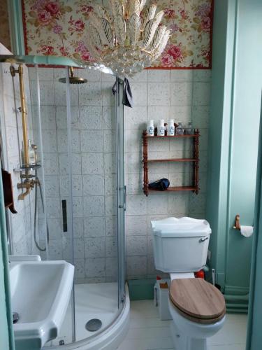 a bathroom with a shower and a toilet and a sink at La Gueriniere l'anglaise in Châteauneuf-sur-Charente