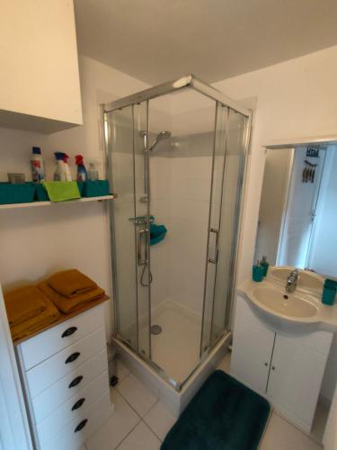 a bathroom with a shower and a sink at DANTIN laurent in Le Crotoy