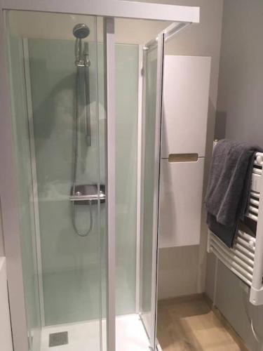 une douche avec une porte vitrée dans une salle de bain dans l'établissement Appartement touristique, proche de la cathédrale, à Albi