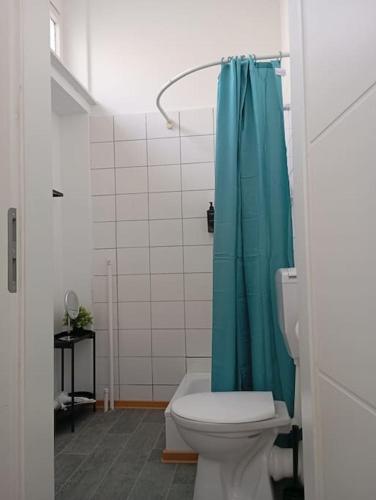 La salle de bains est pourvue de toilettes et d'un rideau de douche bleu. dans l'établissement Apartment Koblenz nähe Uni und BWZK, à Coblence