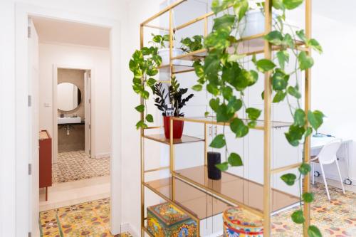 a room with a plant on a shelf at Florette Suite Designer Finish with Stunning Lounge Terrace by ArcoBnb in Il-Furjana