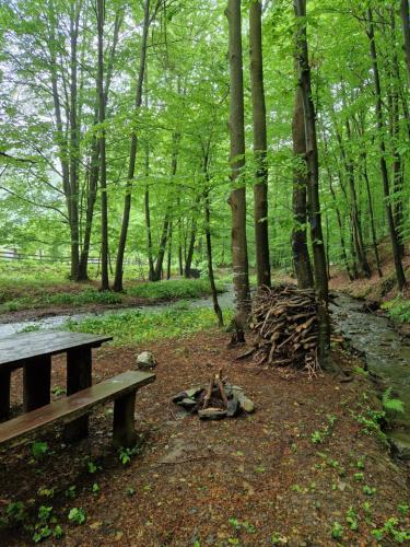 a wooden bench sitting in a forest with trees at Vikendica Kločanica in Strmosten