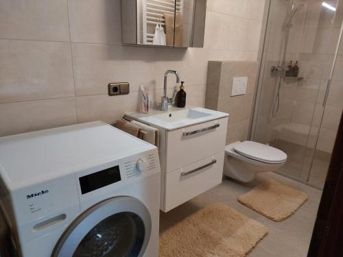 Un baño de AlpApart Hornberg