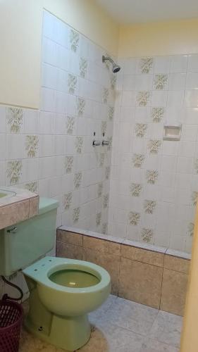 a bathroom with a green toilet and a shower at Plaza inn in Lima