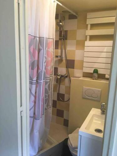 a bathroom with a shower with a toilet and a sink at Charmante chambre de bonne a Montorgueil Paris in Paris
