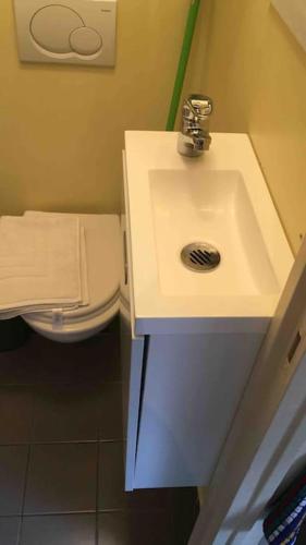 a bathroom with a sink and a toilet at Charmante chambre de bonne a Montorgueil Paris in Paris