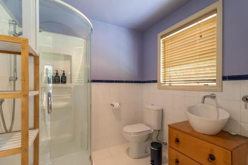 a bathroom with a shower and a toilet and a sink at Arrow Junction Cottage in Arrowtown