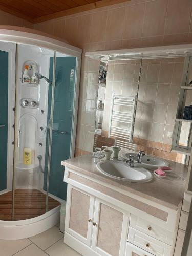 une salle de bain avec un lavabo et une douche dans l'établissement Maison dans une bulle de verdure, à Lacanau