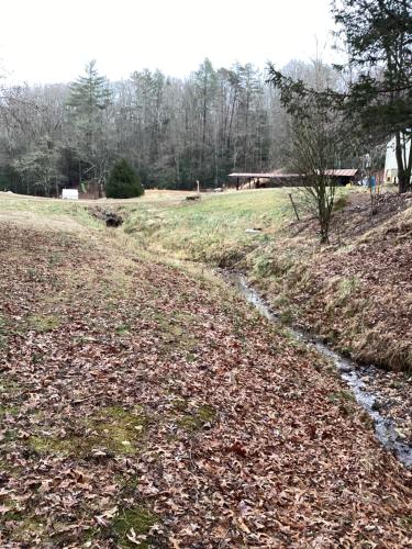 a dirt road in a field with leaves on the ground at GLAMPING Off Grid Tent ULTIMATE IN COMFORT in Turtletown