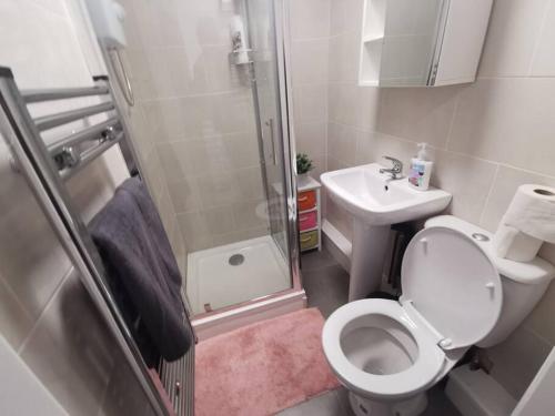 een badkamer met toilet, douche en wastafel bij Unique LFC Themed House in Liverpool
