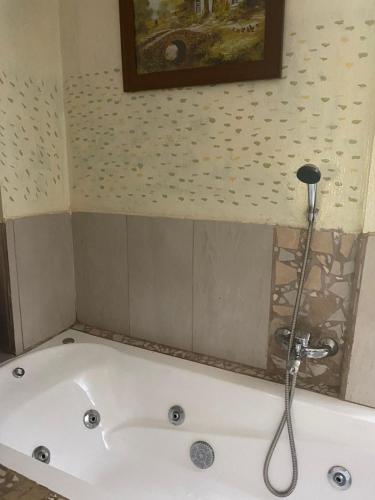 a bath tub with a shower in a bathroom at La Casona de Susana in Colón