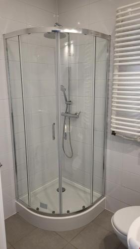 bagno con doccia in vetro e servizi igienici. di Apartamenty Motyl a Żywiec