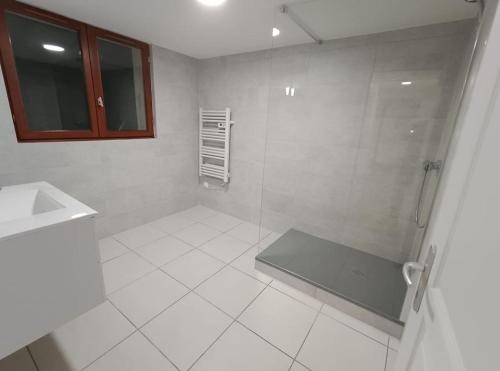 ein weißes Bad mit einer Dusche und einem Waschbecken in der Unterkunft La Chartreuse du Mont Outheran 