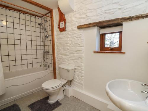 a bathroom with a toilet and a sink at Y Felin in Llanybyther