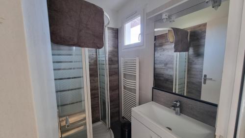 y baño con ducha y lavamanos. en Maison 2 chambres proche base, en Mont-de-Marsan
