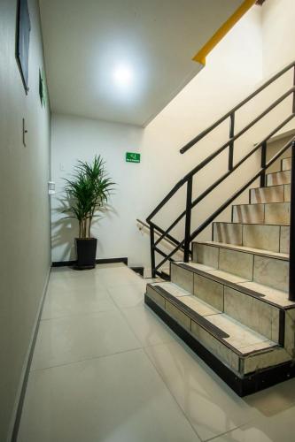 a hallway with stairs and a potted plant at Hotel Panorama Medellín in Medellín